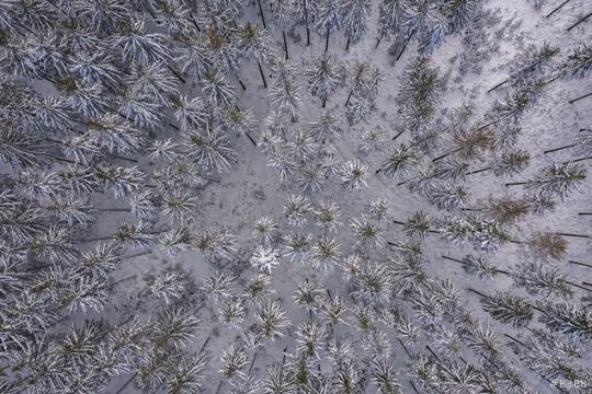 Winter forest. View from above. The photo was taken with a drone. Pine and fir forest in the snow.   : Stock Photo or Stock Video Download rcfotostock photos, images and assets rcfotostock | RC Photo Stock.: