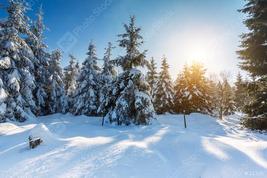 winter landscape  : Stock Photo or Stock Video Download rcfotostock photos, images and assets rcfotostock | RC Photo Stock.: