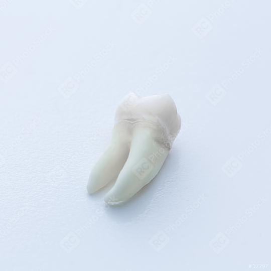wisdom tooth extraction dentist   : Stock Photo or Stock Video Download rcfotostock photos, images and assets rcfotostock | RC Photo Stock.: