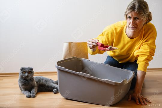 Woman cleaning the little box or cat toilet and a Cute scottish fold cat lying on the ground, feeling stinky, with copyspace for your individual text.  : Stock Photo or Stock Video Download rcfotostock photos, images and assets rcfotostock | RC Photo Stock.: