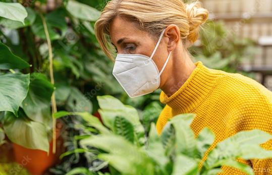 Woman in Face-Mask Admiring a Potted Zebra Plant in a Supermarket at corona pandemic  : Stock Photo or Stock Video Download rcfotostock photos, images and assets rcfotostock | RC Photo Stock.: