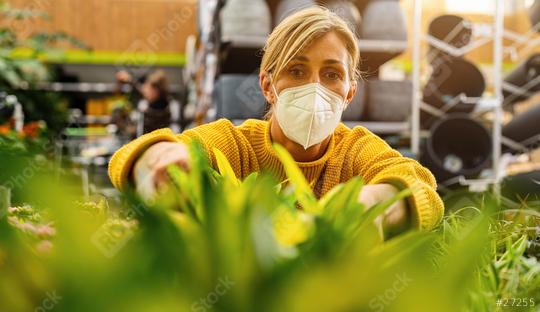 woman wearing a protective face mask, is carefully selecting plants in an indoor nursery, holding a potted green plant with intense focus.  : Stock Photo or Stock Video Download rcfotostock photos, images and assets rcfotostock | RC Photo Stock.: