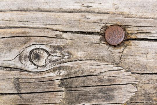 Wood tree texture pattern with astrakhan rusted nail  : Stock Photo or Stock Video Download rcfotostock photos, images and assets rcfotostock | RC Photo Stock.: