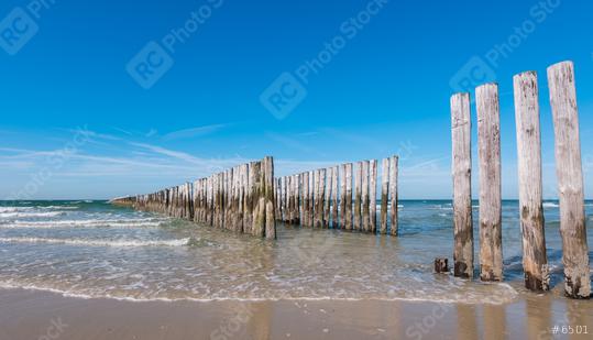 Wooden Groyne on the Beach in the Netherlands  : Stock Photo or Stock Video Download rcfotostock photos, images and assets rcfotostock | RC-Photo-Stock.: