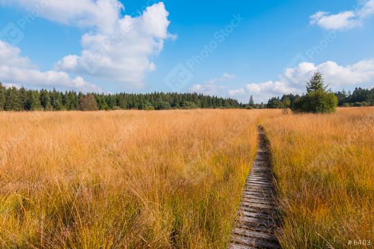 Wooden hiking trail at the High Fens moor at autumn, Belgium, Hohes Venn  : Stock Photo or Stock Video Download rcfotostock photos, images and assets rcfotostock | RC Photo Stock.: