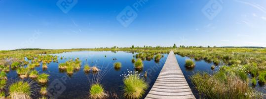 wooden trail over a bog lake at Hohes Venn panorama  : Stock Photo or Stock Video Download rcfotostock photos, images and assets rcfotostock | RC Photo Stock.:
