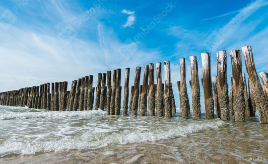 wooden wave breakers at the beach in Domburg, Netherlands  : Stock Photo or Stock Video Download rcfotostock photos, images and assets rcfotostock | RC Photo Stock.:
