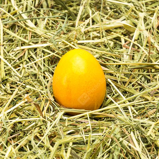 Yellow easter egg in hay from a farm  : Stock Photo or Stock Video Download rcfotostock photos, images and assets rcfotostock | RC Photo Stock.: