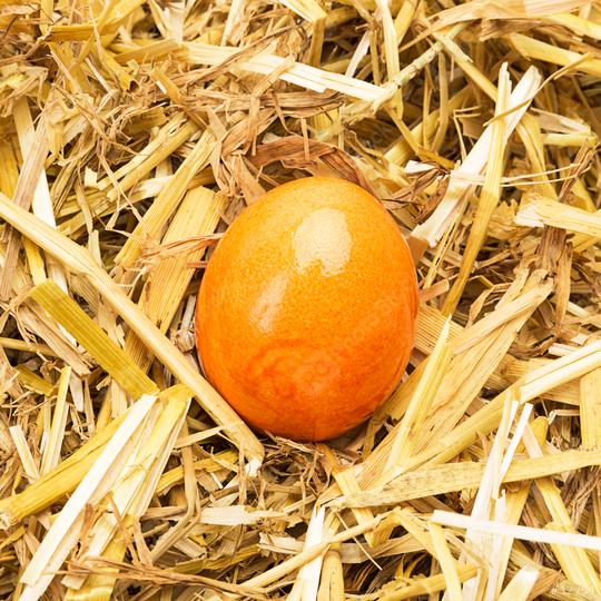 Yellow easter egg in straw  : Stock Photo or Stock Video Download rcfotostock photos, images and assets rcfotostock | RC Photo Stock.: