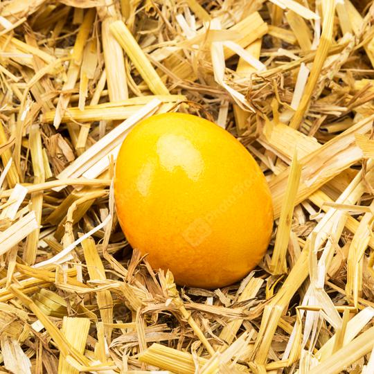 Yellow easter egg lie in straw  : Stock Photo or Stock Video Download rcfotostock photos, images and assets rcfotostock | RC Photo Stock.: