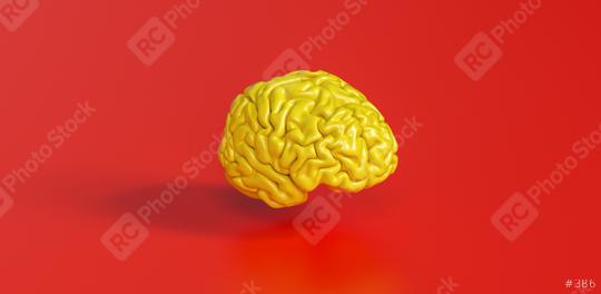 yellow human brain against red background Anatomical Model on floor  : Stock Photo or Stock Video Download rcfotostock photos, images and assets rcfotostock | RC Photo Stock.: