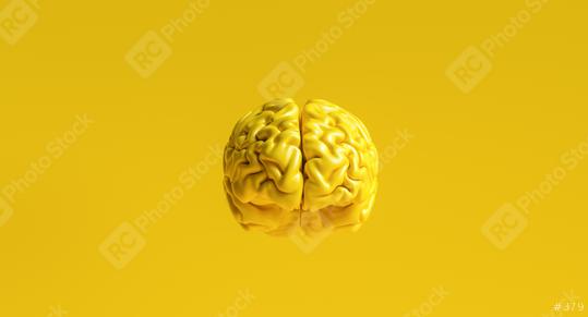 yellow human brain against yellow background Anatomical Model on floor  : Stock Photo or Stock Video Download rcfotostock photos, images and assets rcfotostock | RC Photo Stock.: