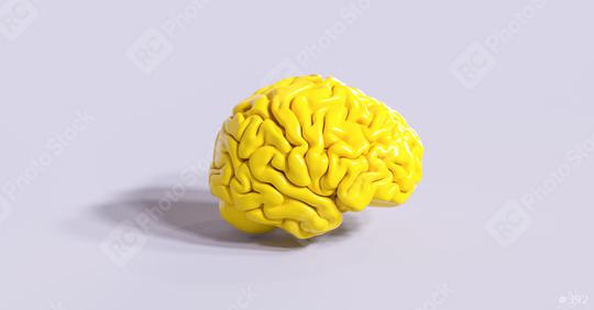 yellow human brain Anatomical Model  : Stock Photo or Stock Video Download rcfotostock photos, images and assets rcfotostock | RC Photo Stock.:
