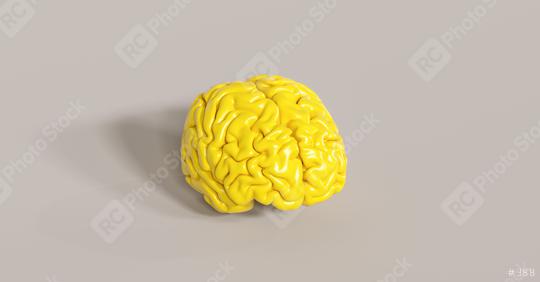 yellow human brain Anatomical Model on floor  : Stock Photo or Stock Video Download rcfotostock photos, images and assets rcfotostock | RC Photo Stock.: