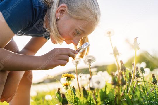 young girl examining a dandelion with a magnifying glass in a sunny field, exploring nature closely. The sun is shining brightly, creating a warm and vibrant atmosphere.  : Stock Photo or Stock Video Download rcfotostock photos, images and assets rcfotostock | RC Photo Stock.: