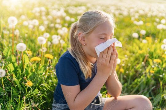 young girl with a ponytail sits in a field of dandelions, holding a handkerchief to her nose, showing signs of allergies. The bright sunlight and blooming flowers highlight the springtime setting  : Stock Photo or Stock Video Download rcfotostock photos, images and assets rcfotostock | RC Photo Stock.: