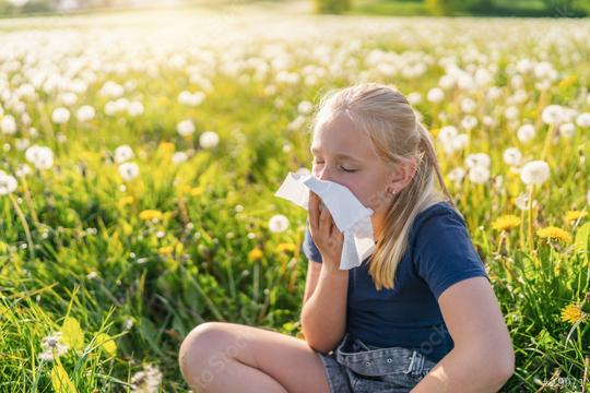 young girl with blonde hair sits in a field of dandelions, holding a tissue to her nose as she sneezes, showing symptoms of hayfever and allergies. The sunlit meadow creates a serene backdrop  : Stock Photo or Stock Video Download rcfotostock photos, images and assets rcfotostock | RC Photo Stock.: