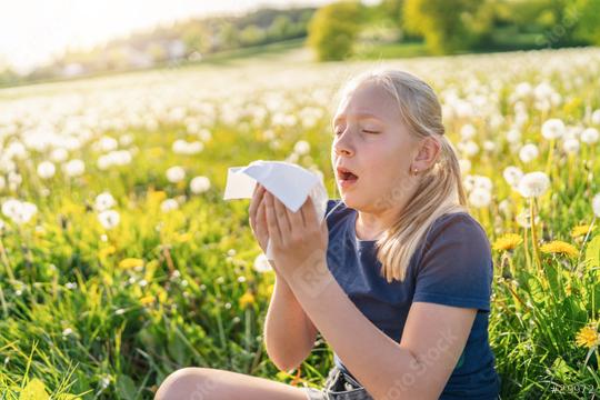 young girl with blonde hair sits in a field of dandelions, holding a tissue to her nose while sneezing, indicating hayfever and allergies. The sunlit meadow provides a bright, natural background  : Stock Photo or Stock Video Download rcfotostock photos, images and assets rcfotostock | RC Photo Stock.:
