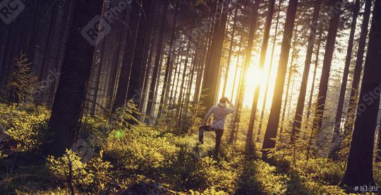 Young man looks in to the deep forrest and enjoys nature and sunset light - Travel Lifestyle emotional concept  : Stock Photo or Stock Video Download rcfotostock photos, images and assets rcfotostock | RC Photo Stock.: