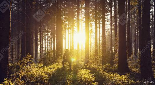 Young man looks in to the forrest and enjoys sunset light  : Stock Photo or Stock Video Download rcfotostock photos, images and assets rcfotostock | RC Photo Stock.: