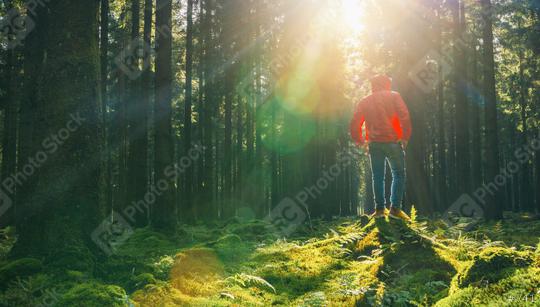 Young man stand in the green forrest with red jacket and enjoys nature and sunlight  : Stock Photo or Stock Video Download rcfotostock photos, images and assets rcfotostock | RC Photo Stock.: