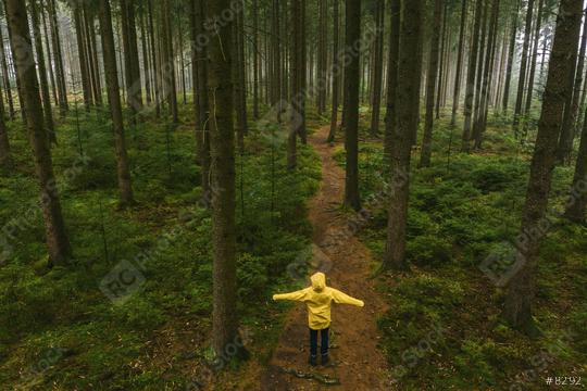 Young man standing on a tree trunk in the forest watching to the tree tops in a yellow rain coat - view from a drone  : Stock Photo or Stock Video Download rcfotostock photos, images and assets rcfotostock | RC Photo Stock.: