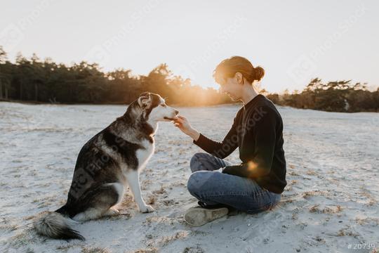 Young person feeds their dog on the beach at sunset. It