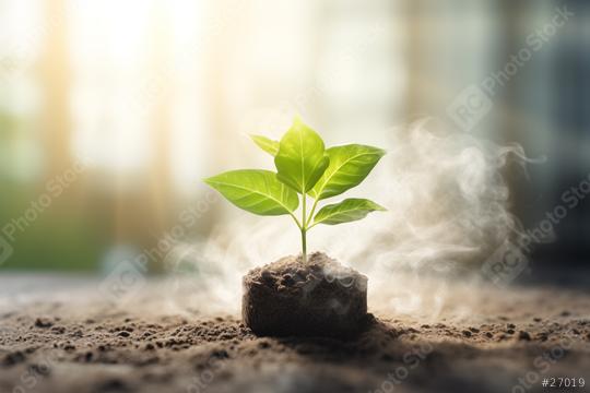 Young plant in soil with mist, sunlight background
  : Stock Photo or Stock Video Download rcfotostock photos, images and assets rcfotostock | RC Photo Stock.: