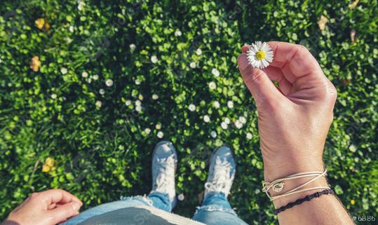young woman stands on Meadow and holds a daisy in his hand, high angle footsie or flortrait, personal pespective from above.  : Stock Photo or Stock Video Download rcfotostock photos, images and assets rcfotostock | RC Photo Stock.:
